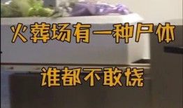 火葬场爆料视频,揭秘生死轮回的最后一站